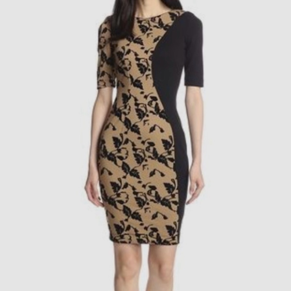 NWT French Connection Black Tan Velvet Vine Print Sheath Dress Women’s 10 Career